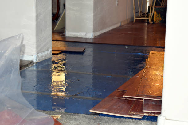 Professional Basement Flood Cleanup technician working in Braidwood, IL
